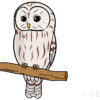 fukuro-Ural Owl